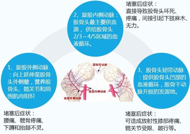 QQ图片20161103093903.jpg