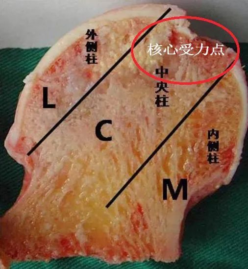 微信图片_20230510143351.jpg
